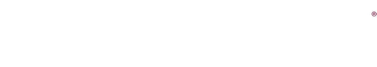Raymarine logo