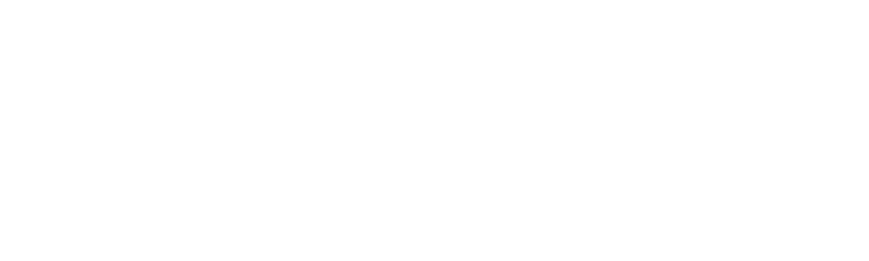 Elan logo